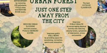 Benefits of Urban Forest Benefits of Urban Forest
