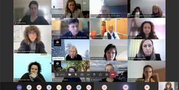 Online kick-off meeting of Slowdown project. Screenshot of the online meeting.