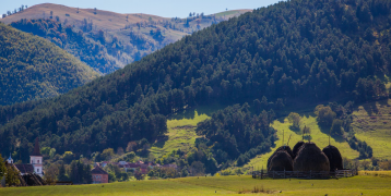 A landscape of the National Park in Rasinari, Romania A green landscape with hills covered by dense forestry and a herder with cattle in front