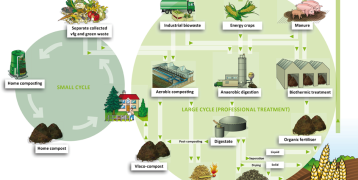 Biowaste cycles in the region of Flanders A picture of the recycling circle of region of Flanders