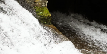 A water current flowing A current of water merging into another body of water